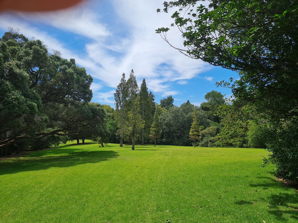 A picture of Auckland Domain