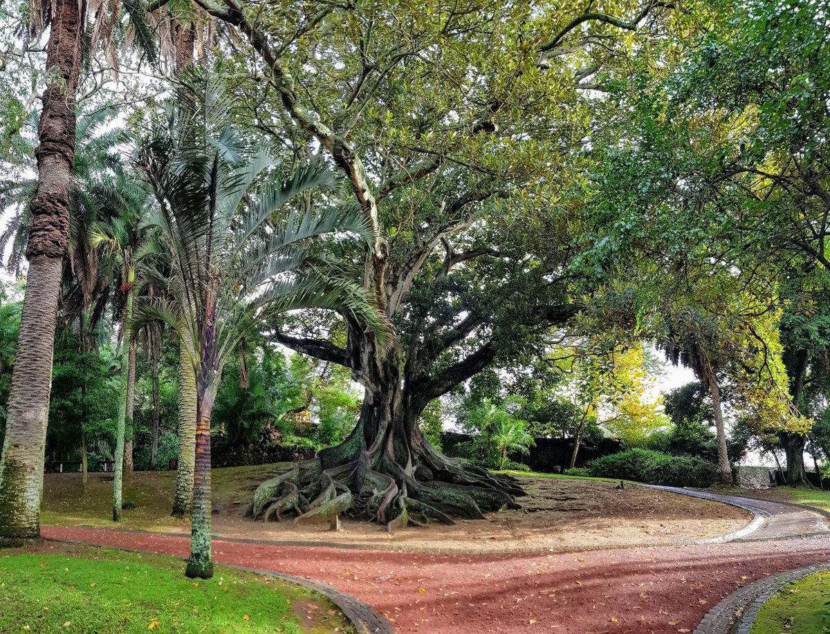 حديقة أنطونيو بورجيس