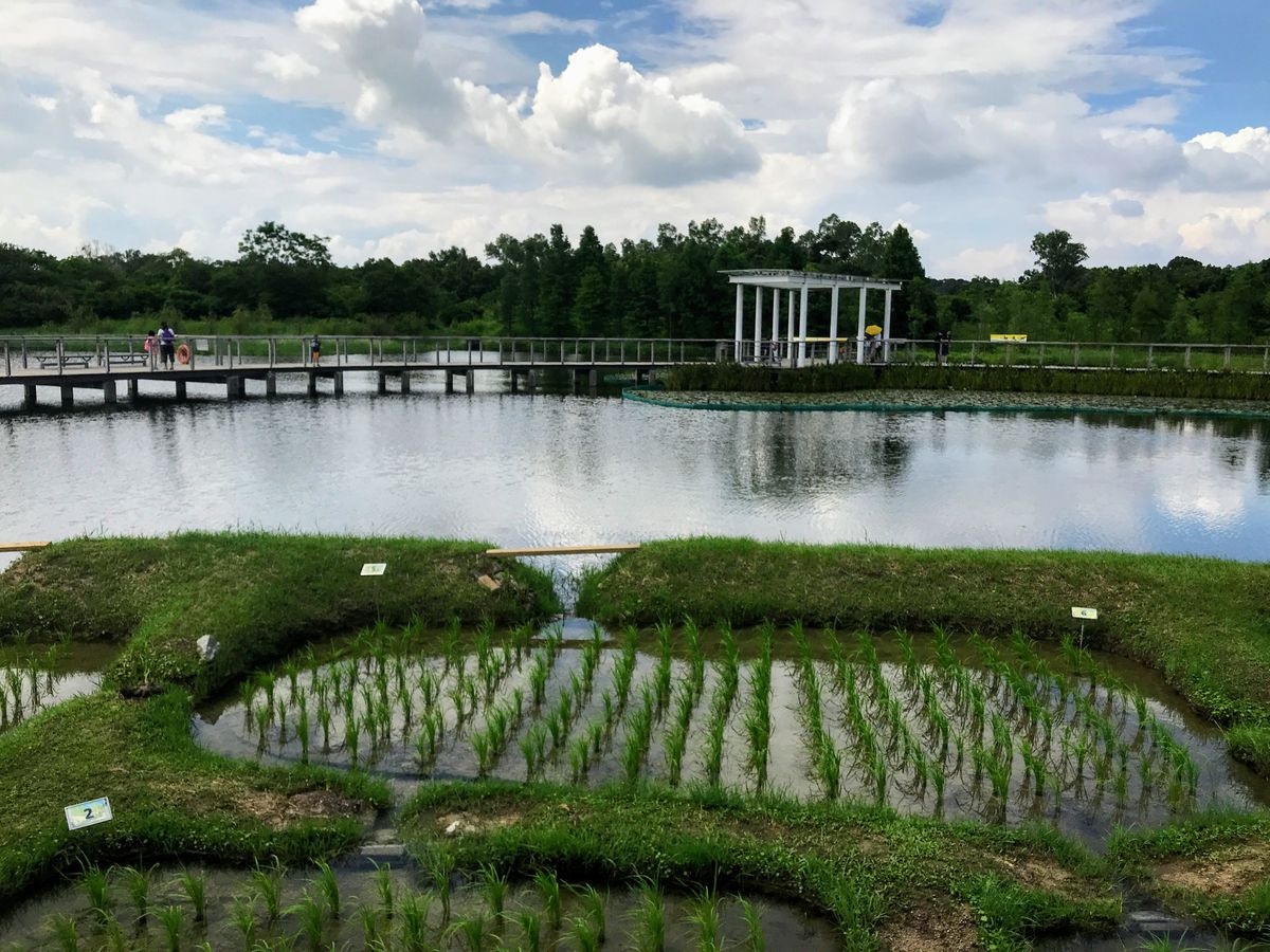 حديقة هونغ كونغ المائية