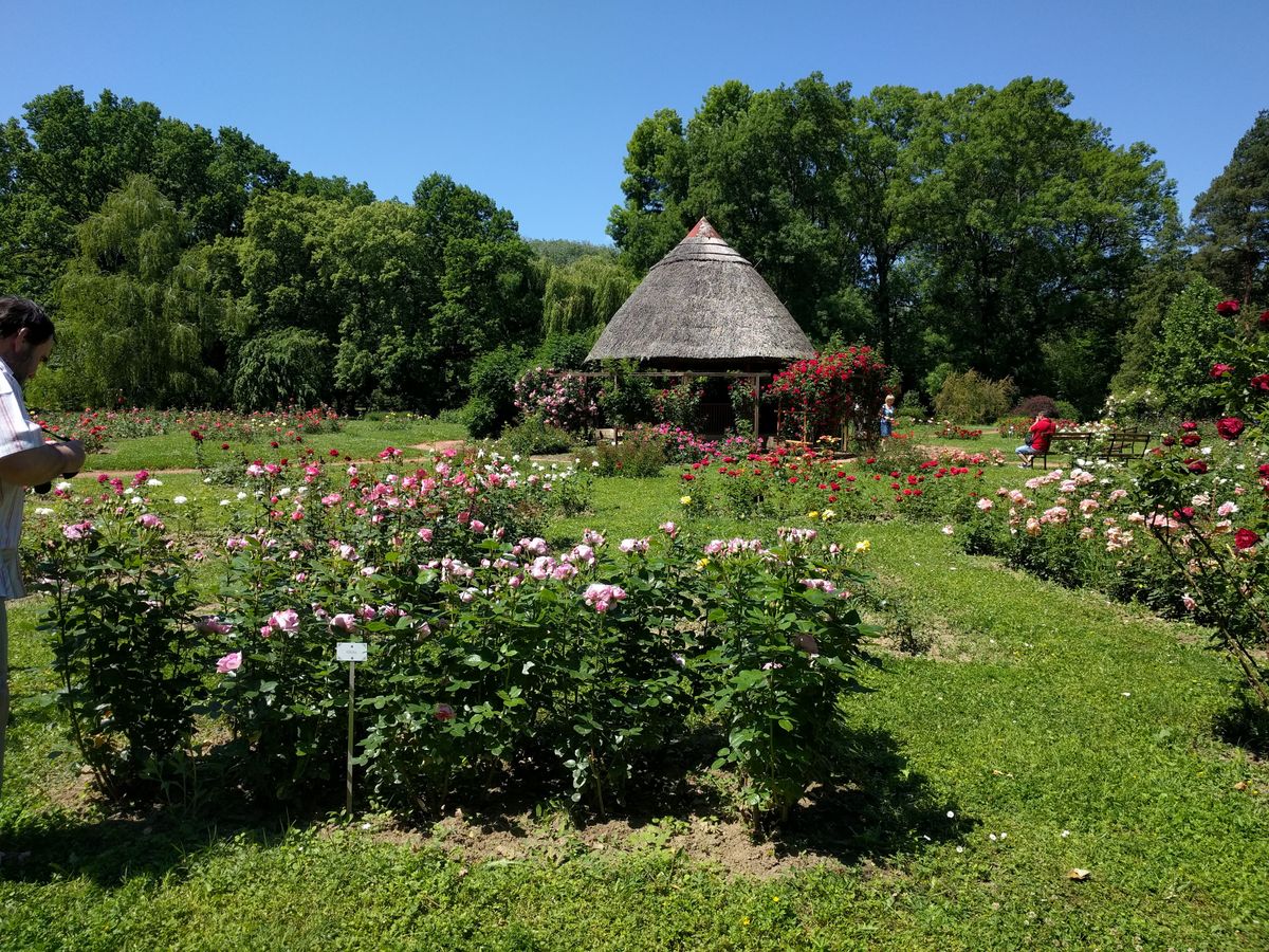 حديقة زيجيد النباتية