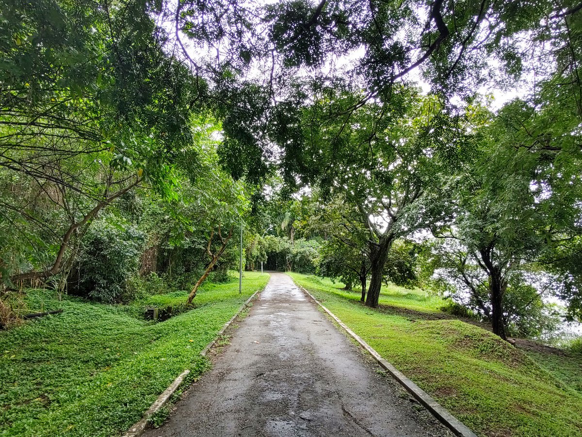 حديقة فيفينسيال دو لاغو نورتي