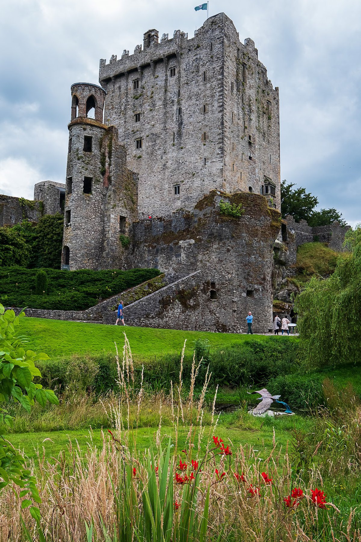 11 من أفضل قلعة في أيرلندا ننصحك بزيارتها