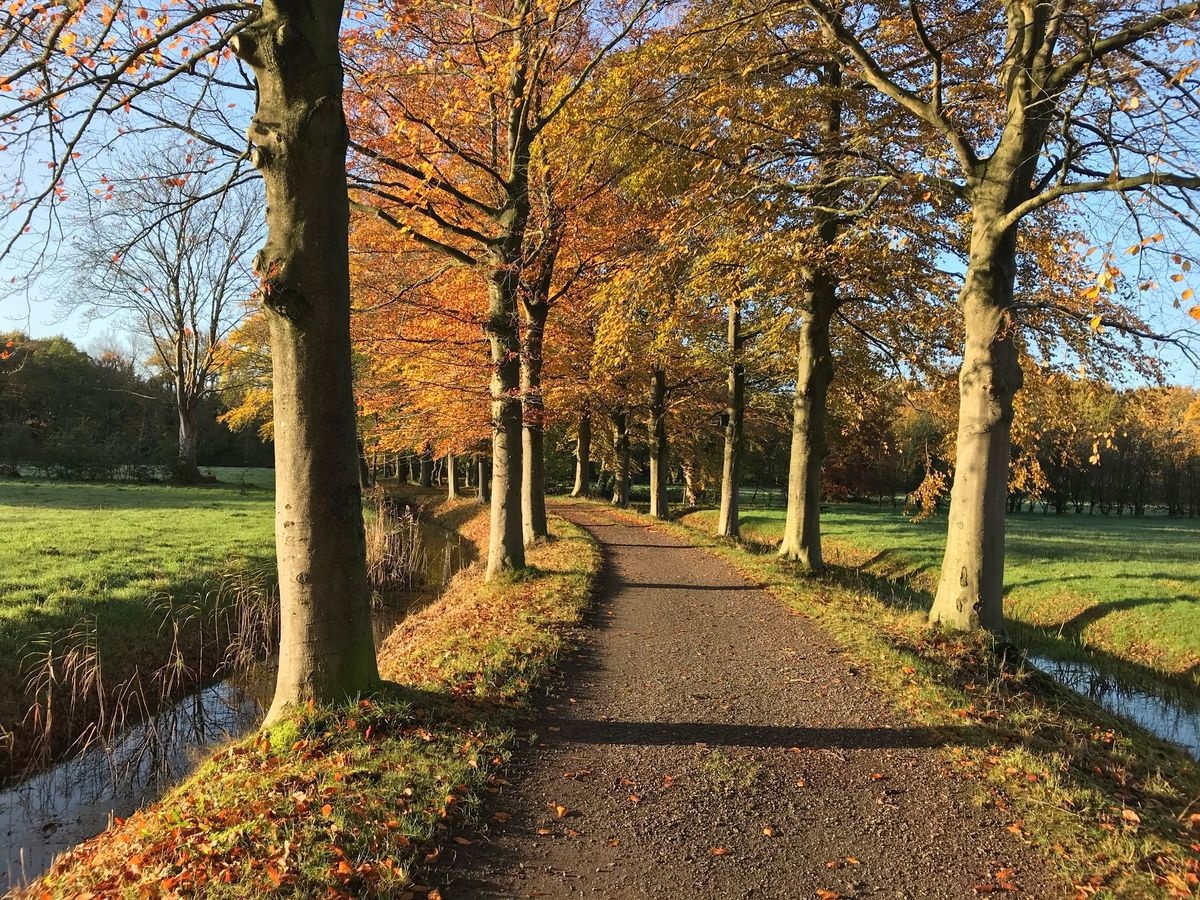 A picture of Valkenstijn