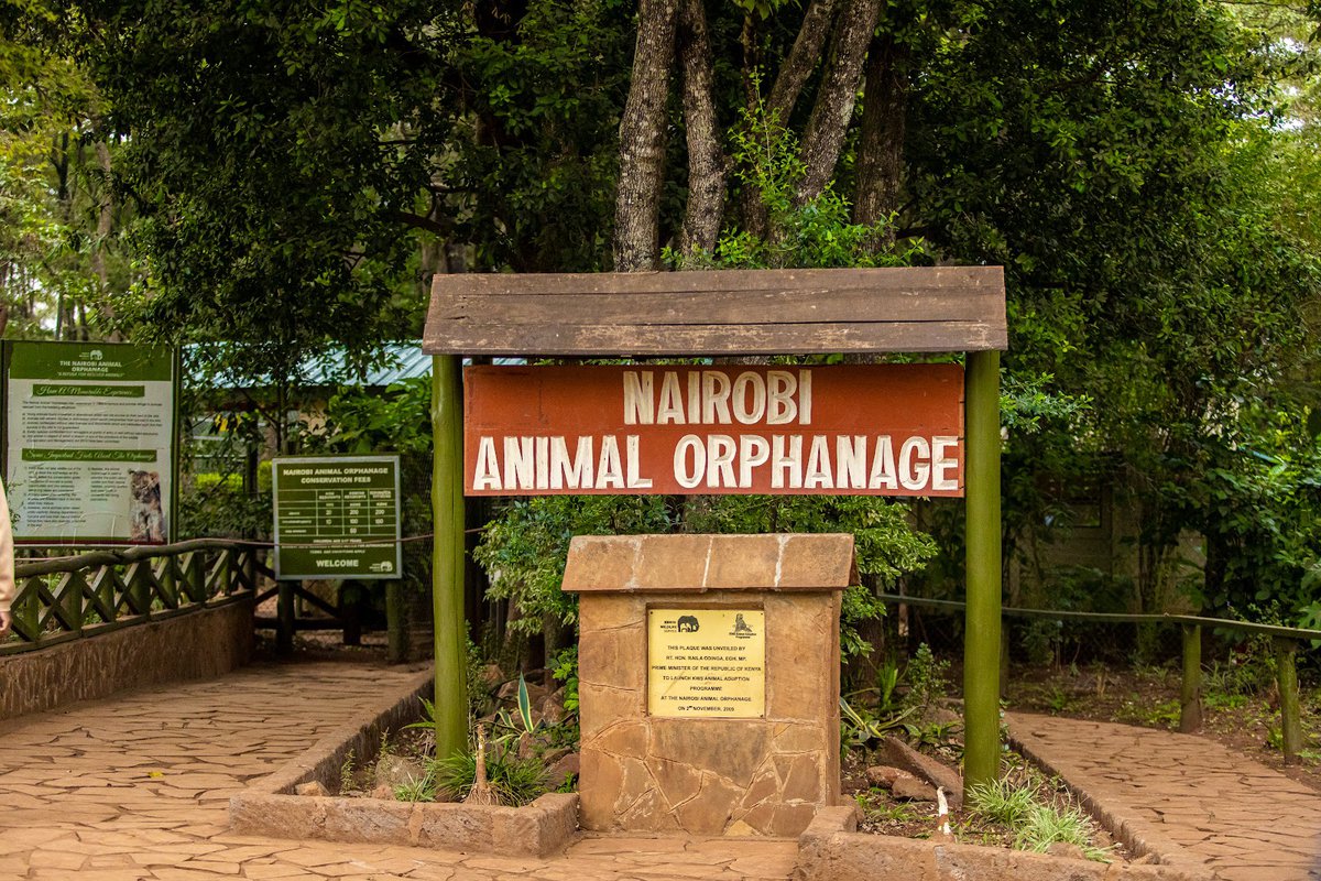 نيروبي : اهم  4 حدائق حيوان و احواض مائية لزيارتها