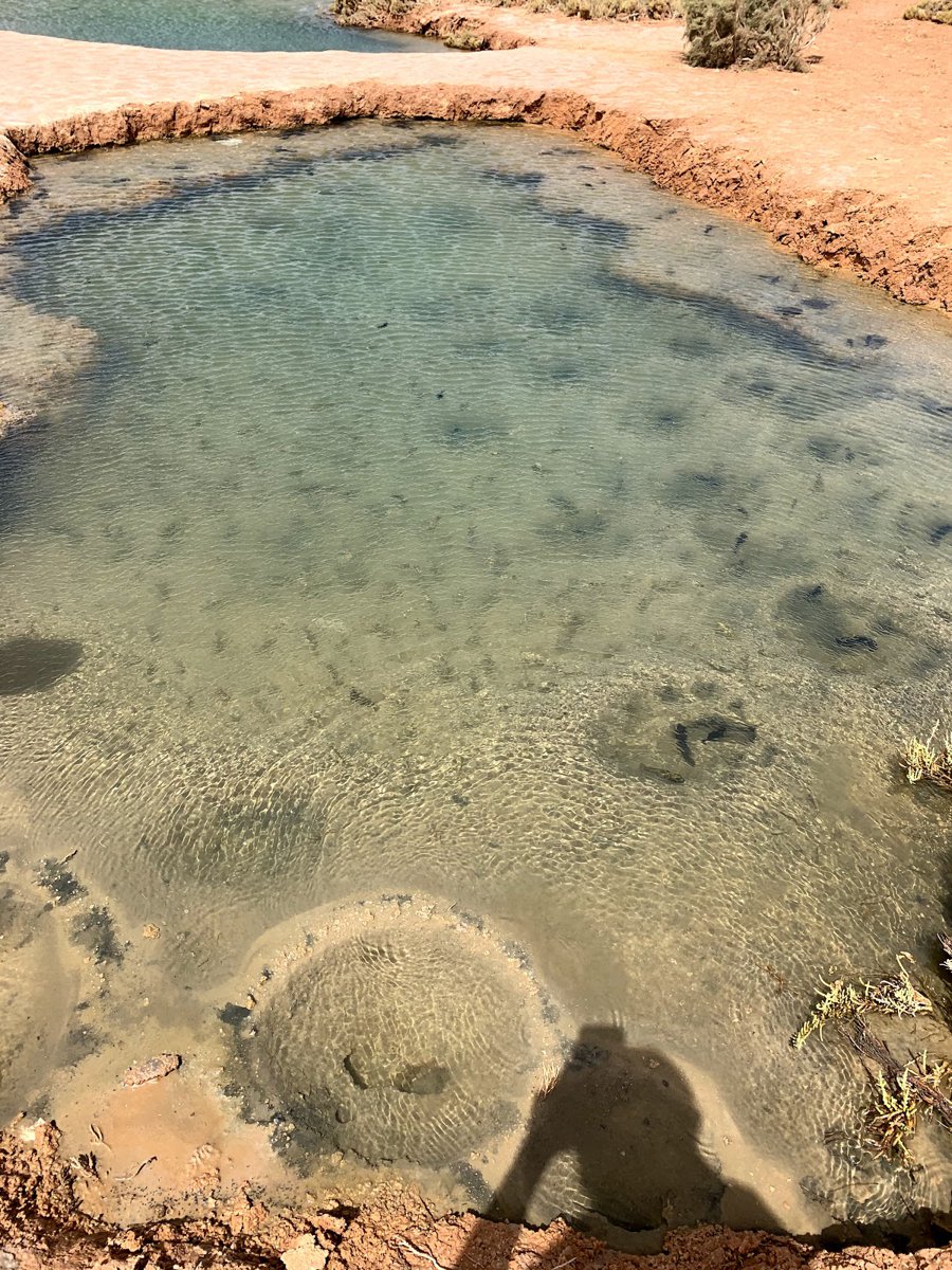 A picture of Le Marais Imlili