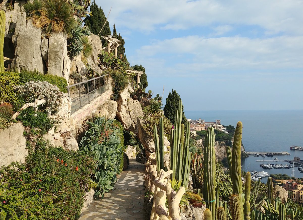 A picture of Exotic Garden of Monaco