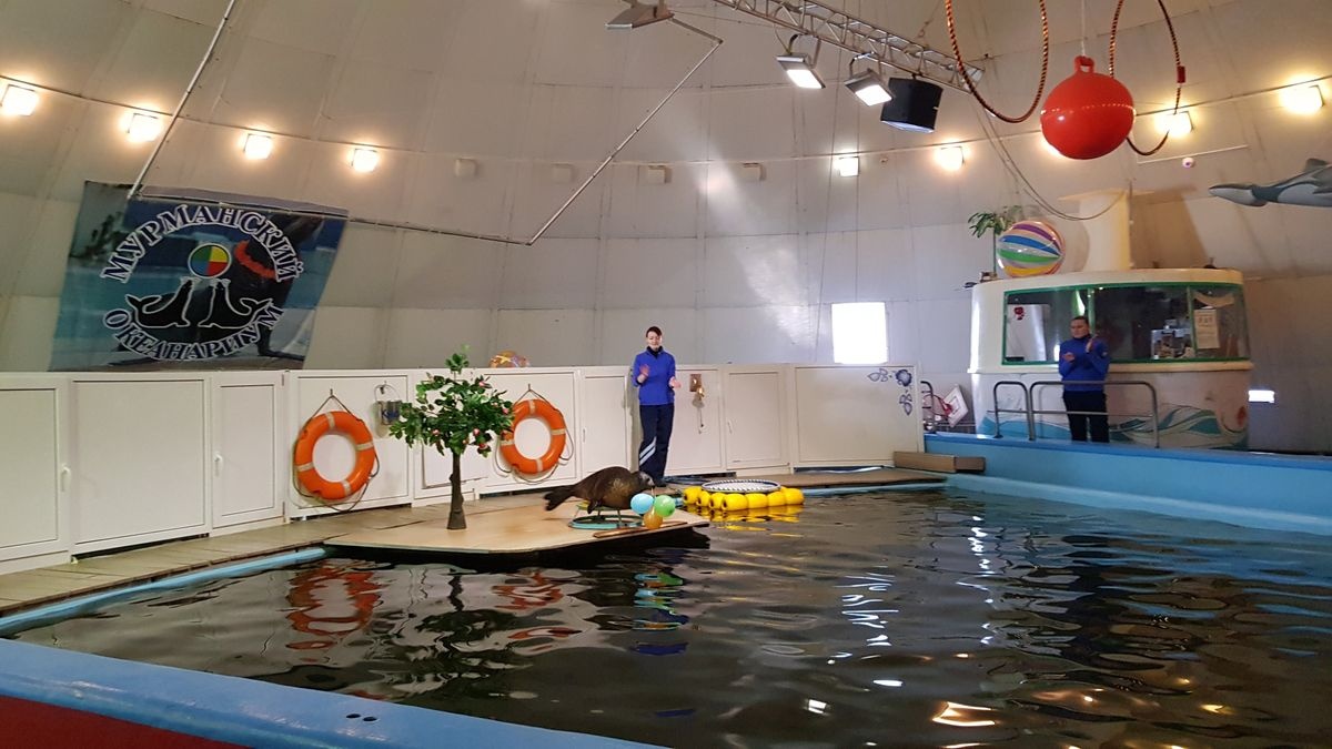 حوض مورمانسك المائي