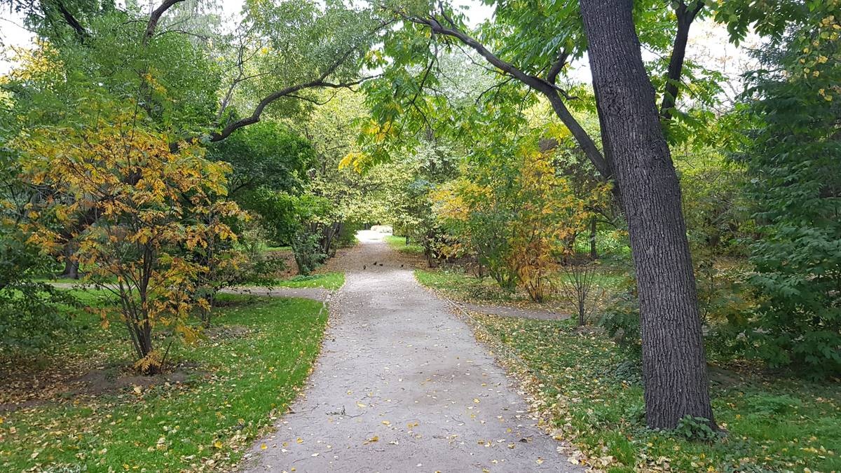 منتزه دندورلجيسكي فيستافكا