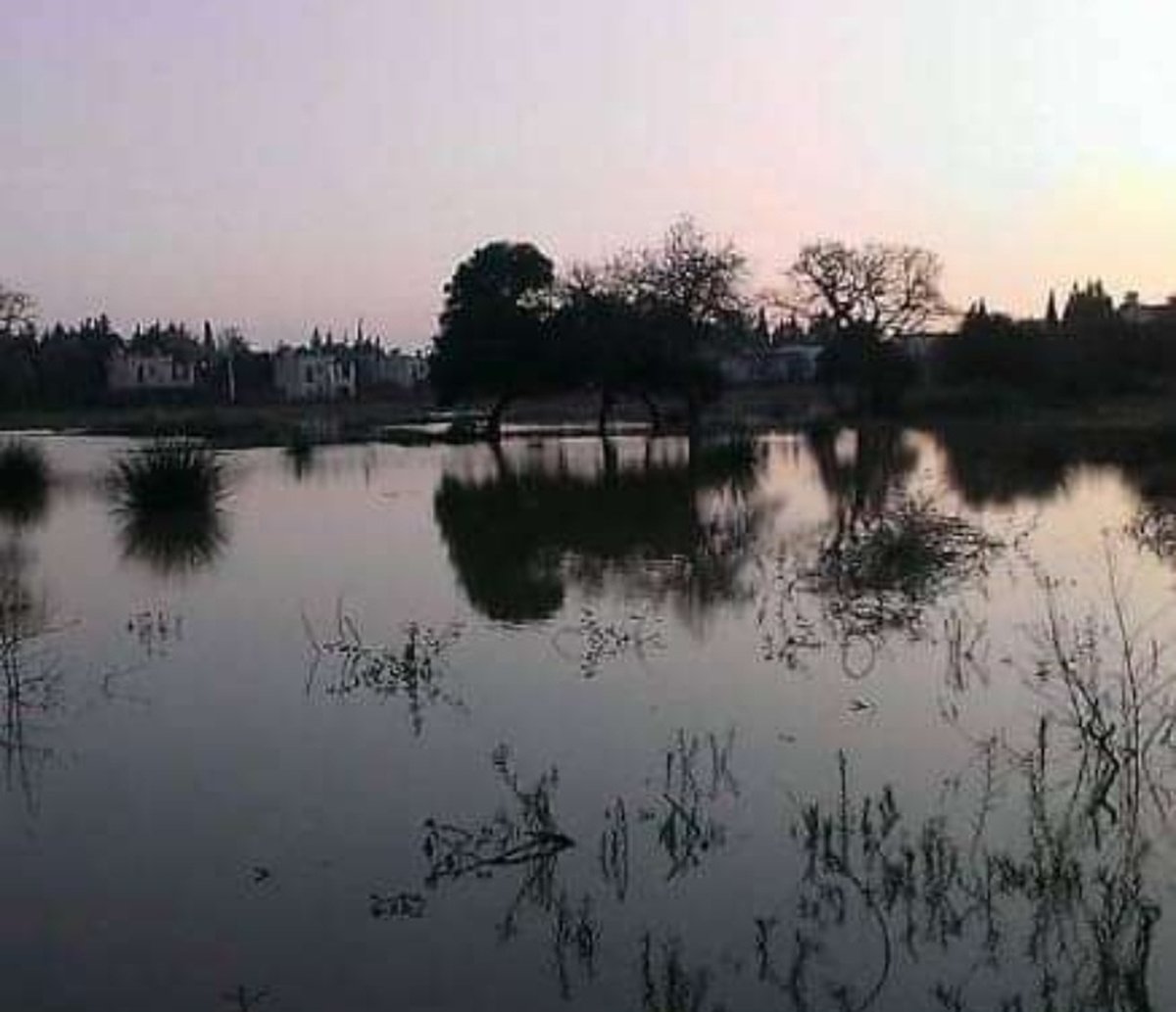 A picture of Peksimet