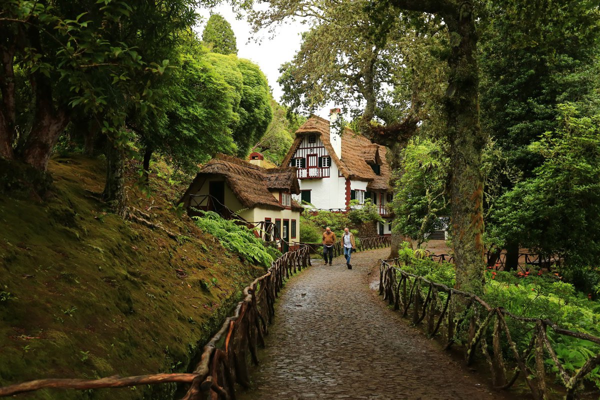 حديقة غابة كيماداس