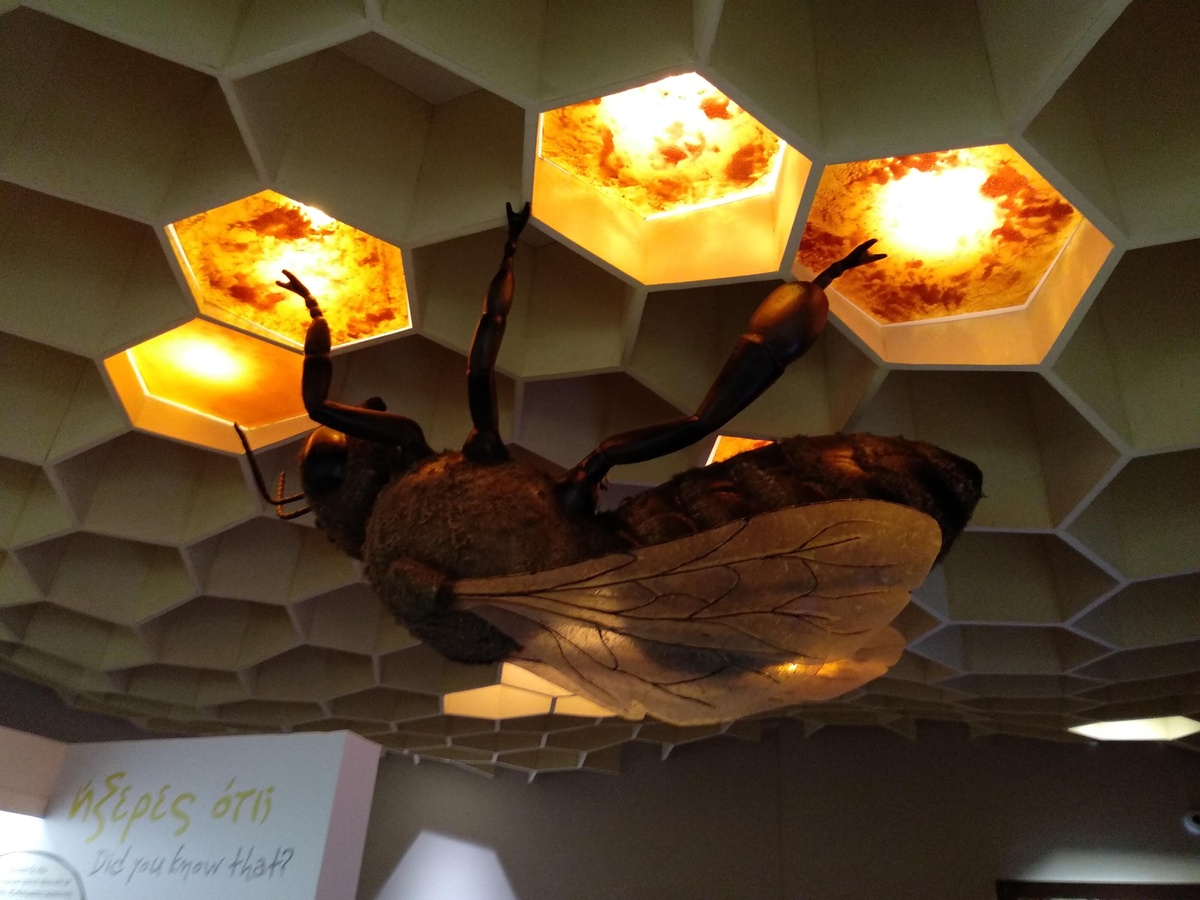 متحف النحل - بي ميوزيم