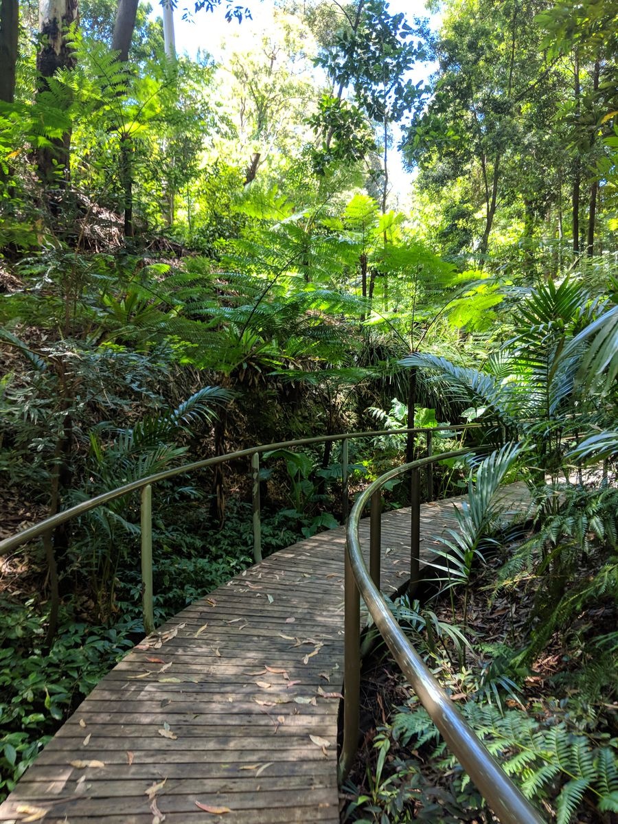 الحدائق النباتية الأسترالية الوطنية