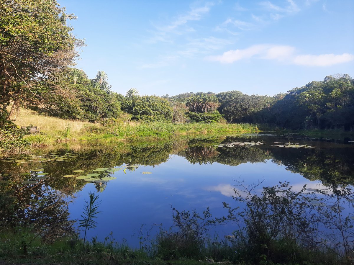 A picture of Kenneth Stainbank Nature Reserve