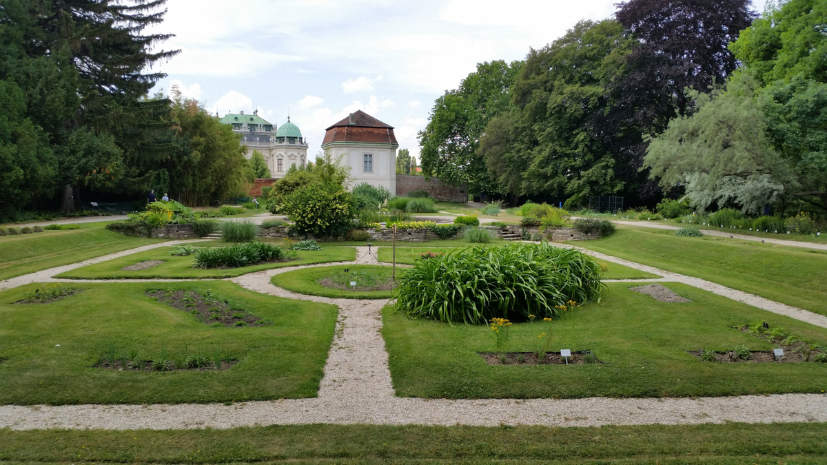 حديقة جامعة فيينا النباتية