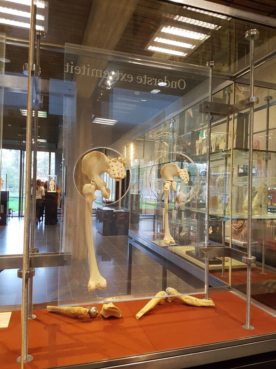 9 من أفضل متاحف علمية في هولندا ننصحك بزيارتها