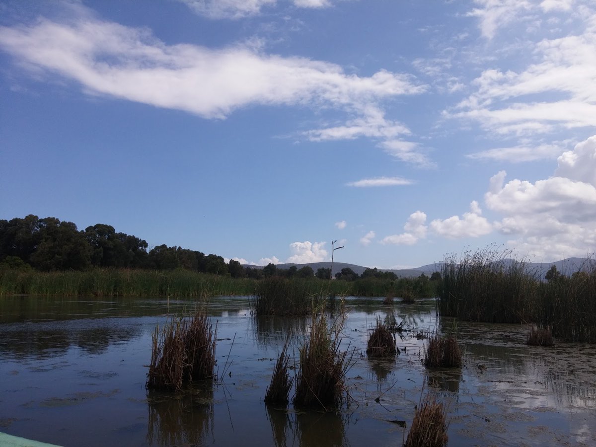 A picture of Lac Tonga