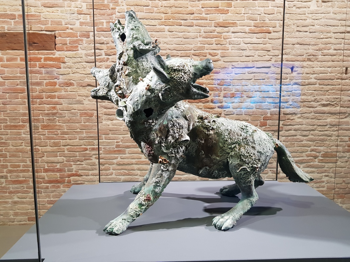 متحف بونتا ديلا دوجانا
