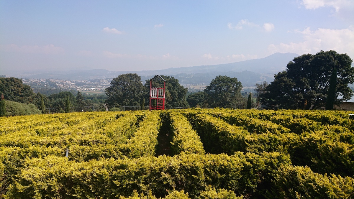 تعرف على افضل  10 حدائق حيوان في المكسيك يمكنك زيارتها