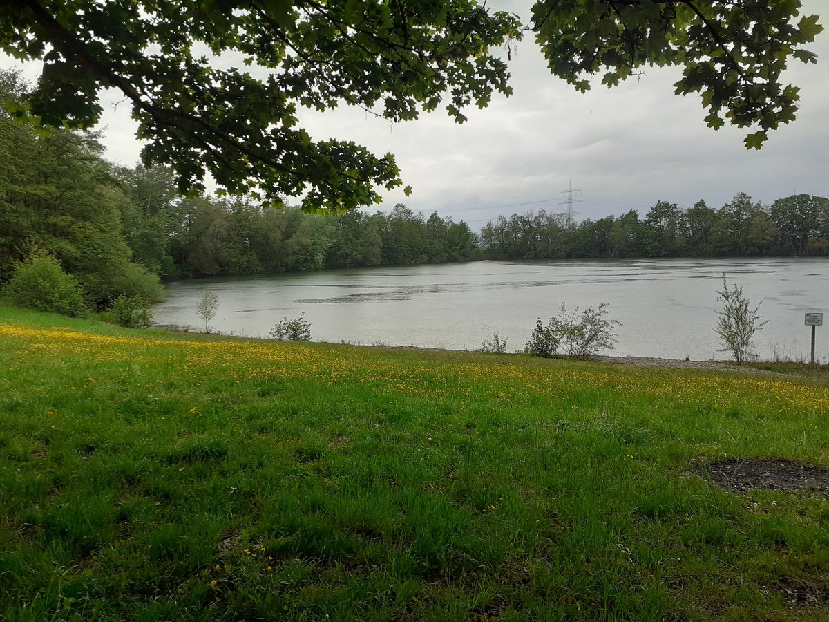 A picture of Birkenwaldsee
