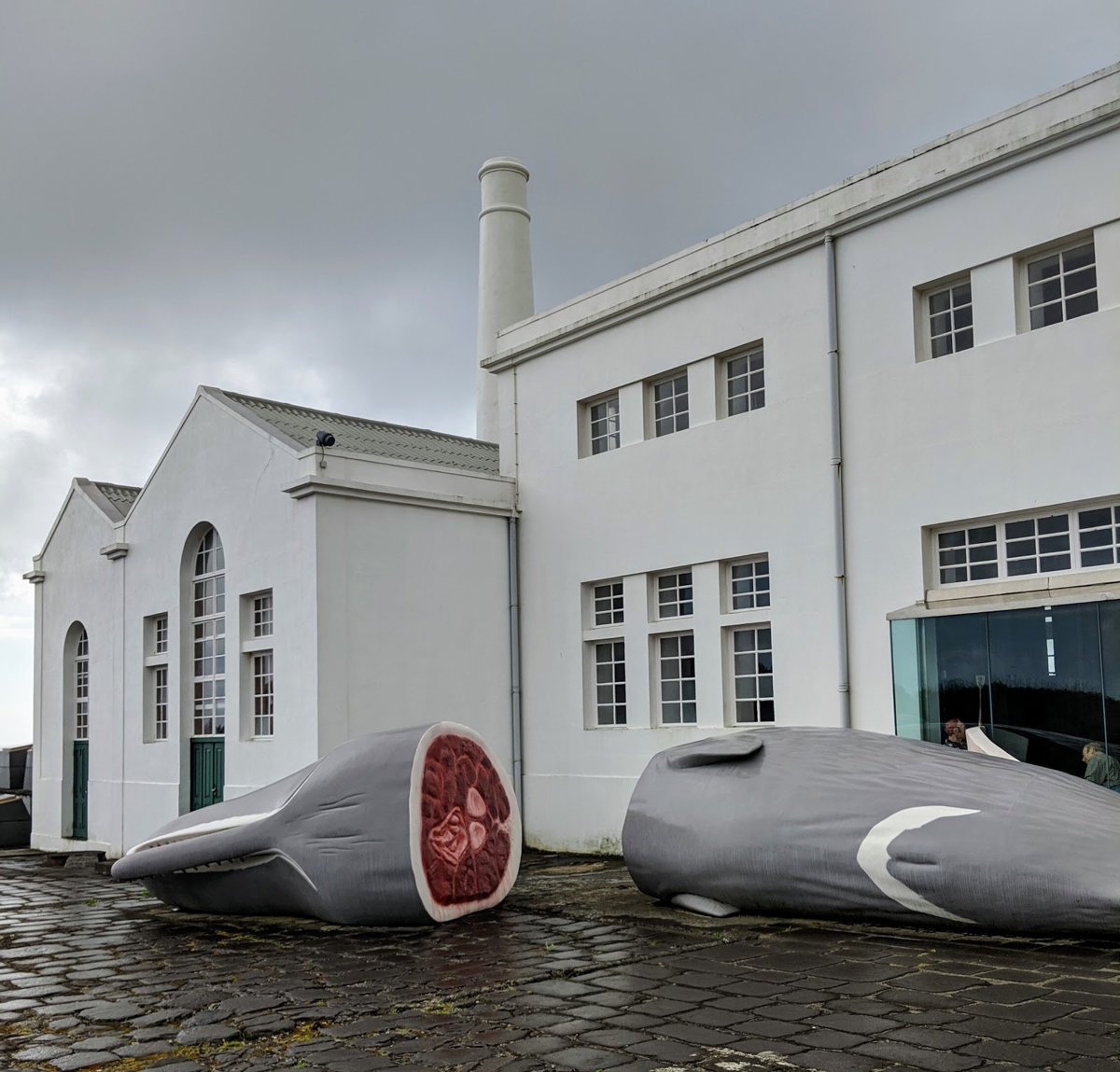 متحف مصنع بوكيراو للحيتان