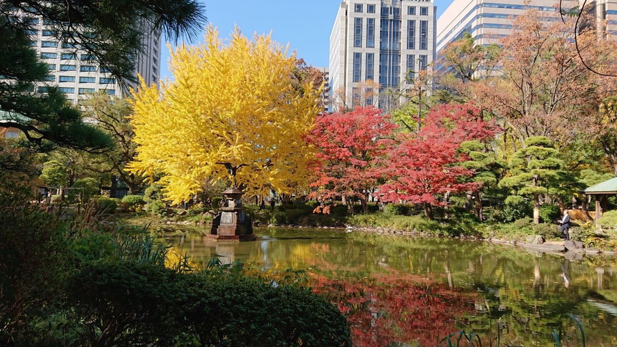 5 من أفضل حدائق و اماكن طبيعية في طوكيو لتستمتع بزيارتها