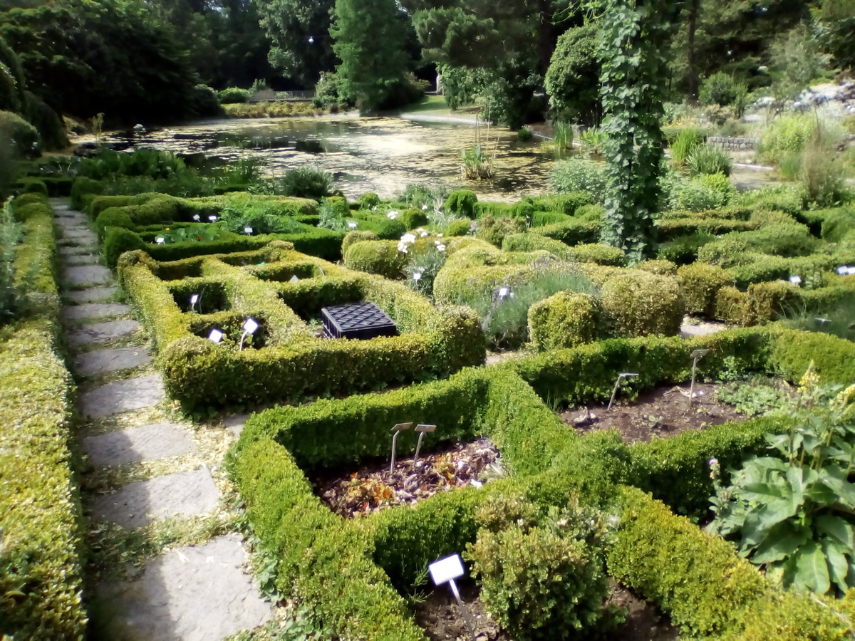 دليلك لافضل  22 حديقة نباتية في بلجيكا ننصحك بها