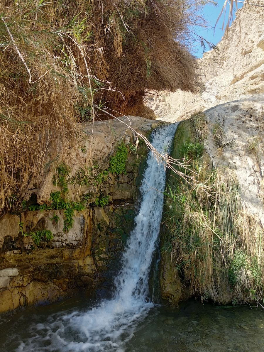5 محميات طبيعية في منطقة البحر الميت ننصح بها