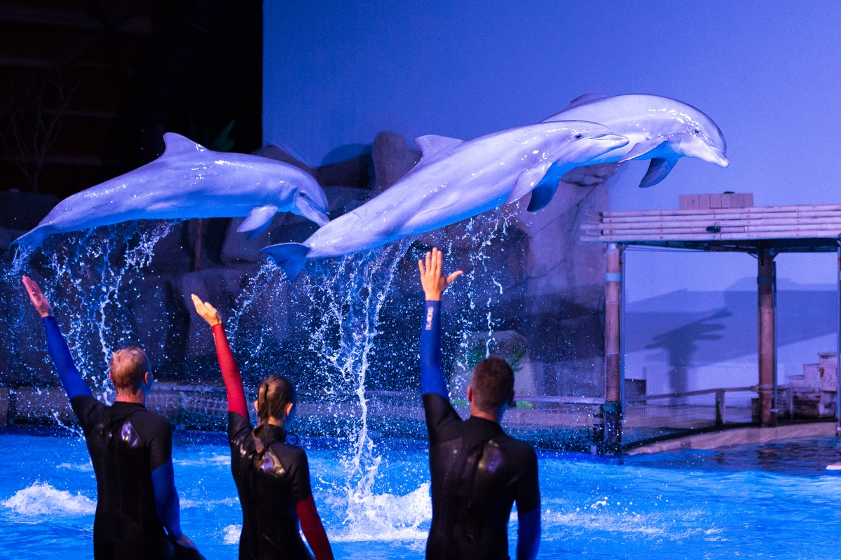 اشهر و افضل  18 ملهى في بلجيكا ننصح بها