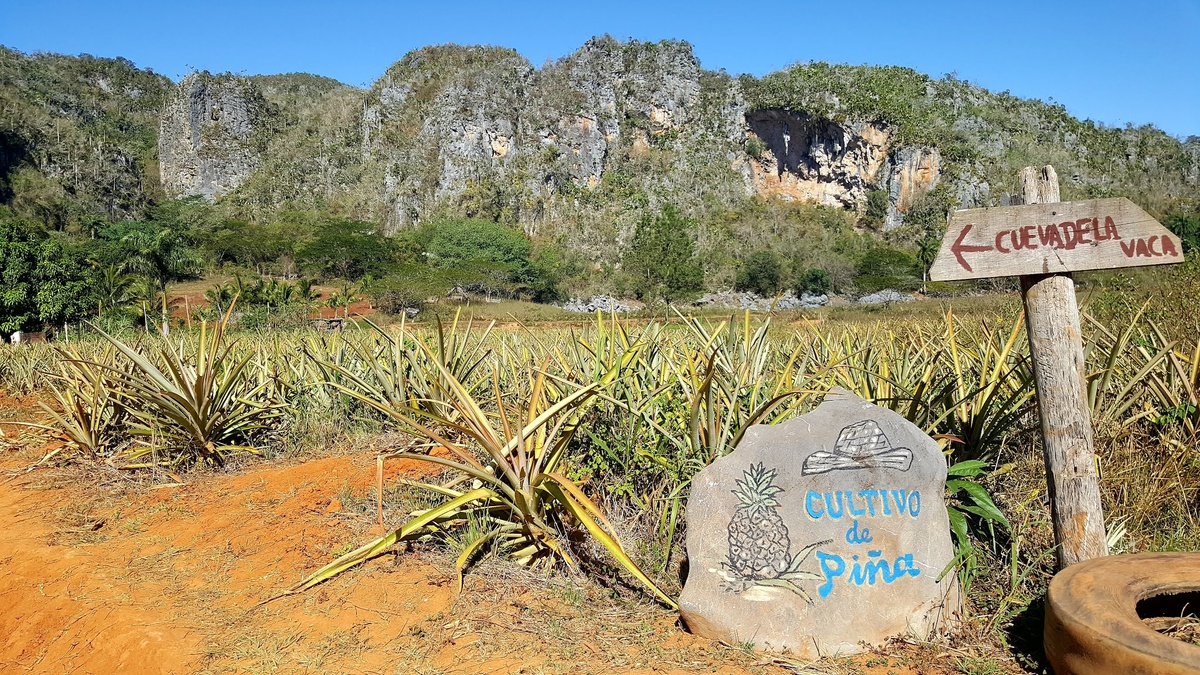 اروع و افضل  5 كهوف و مغارات في كوبا