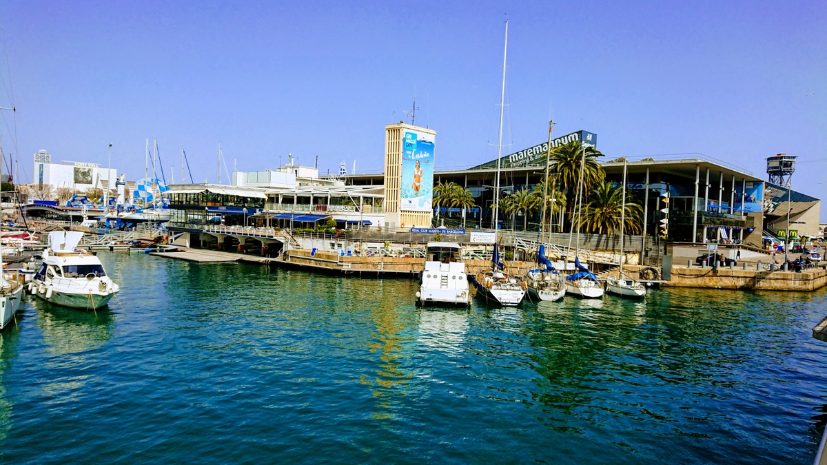 Immersion con tiburones Aquarium Barcelona A picture of Immersion con tiburones Aquarium Barcelona