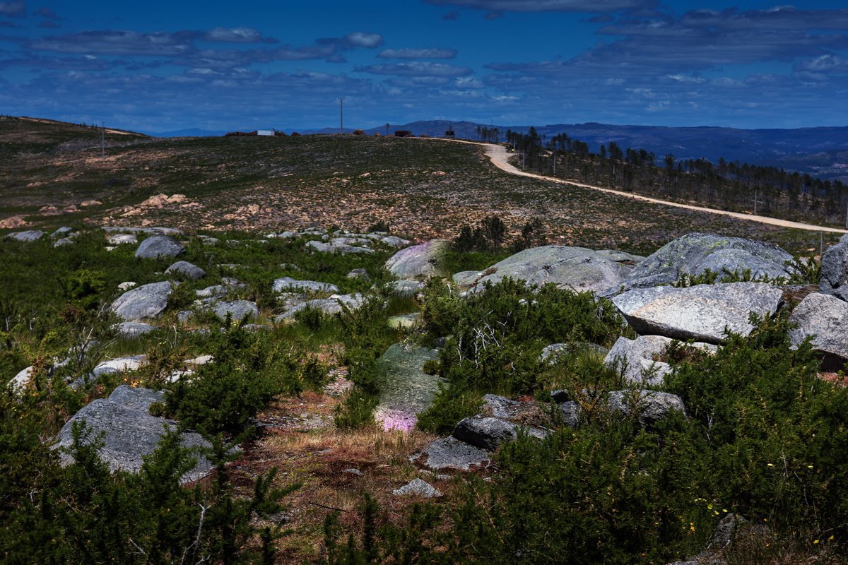 سيرا دي ارغا