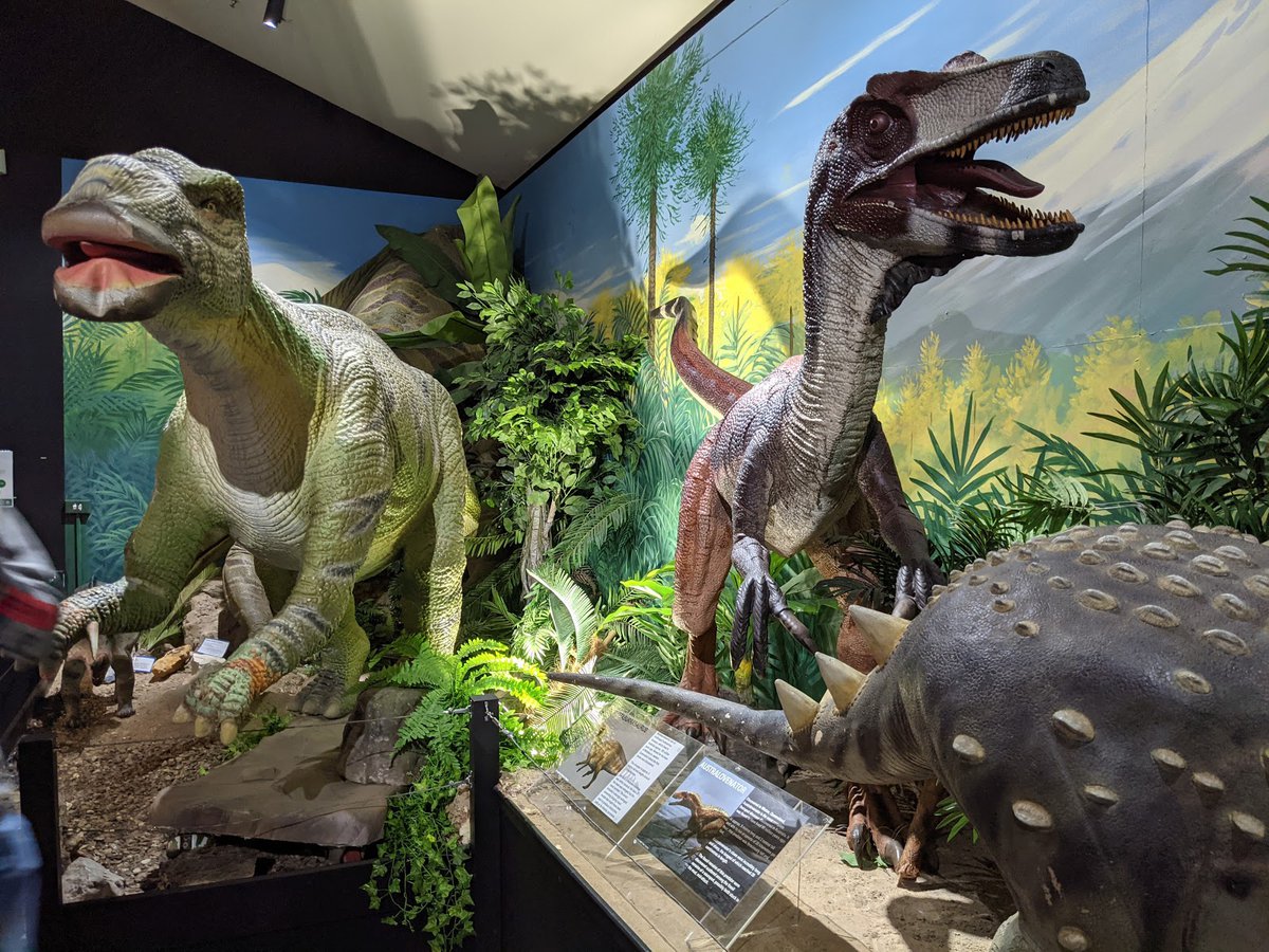 A picture of National Dinosaur Museum