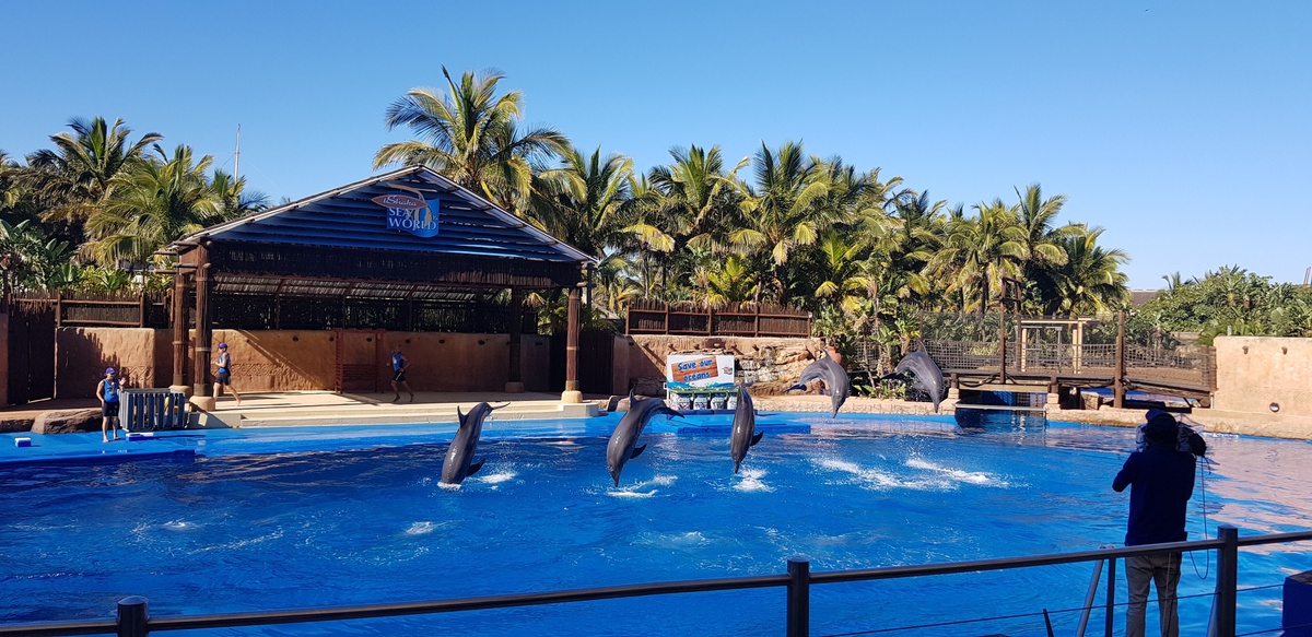 شاطئ يو شاكا