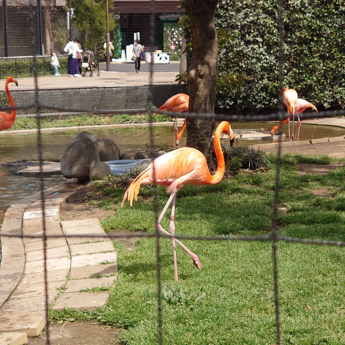 A picture of Ueno Zoo
