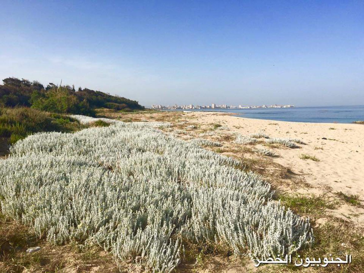 محمية شاطئ صور الطبيعية
