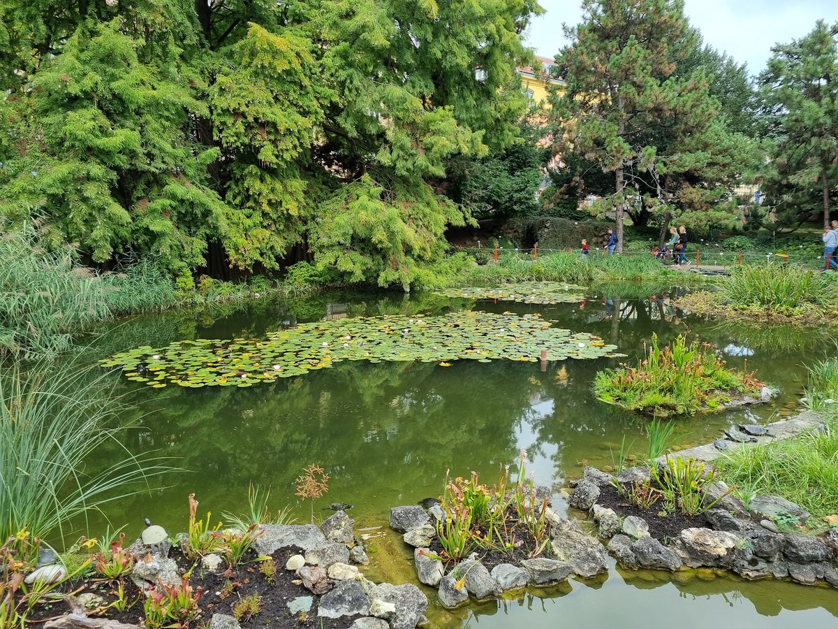 A picture of Botanical Garden