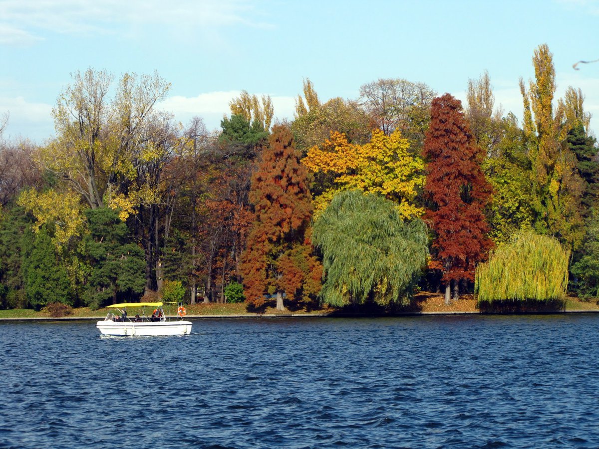 A picture of Herăstrău Lake