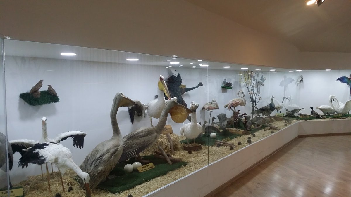A picture of Gaziantep Museum of Zoology