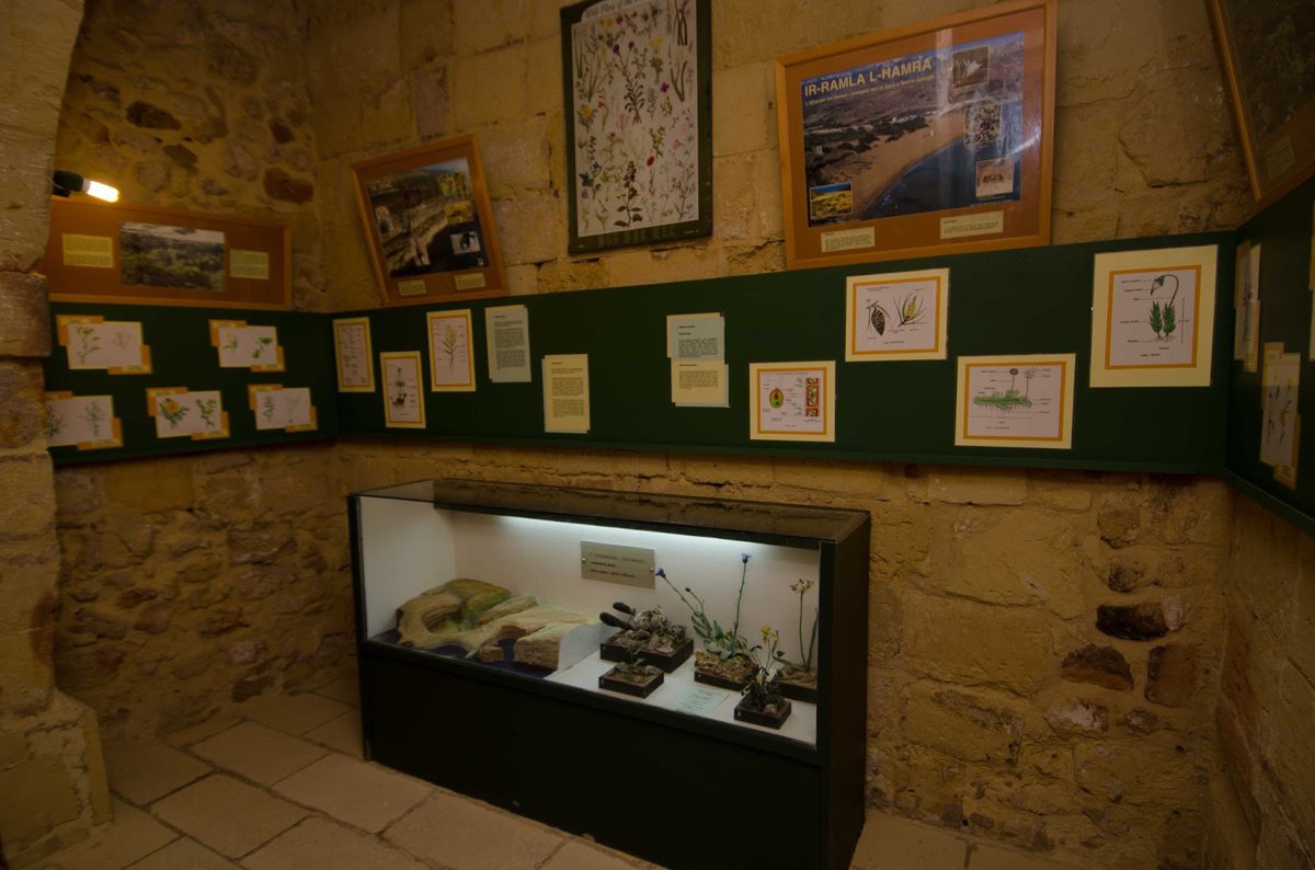 A picture of Natural Science Museum