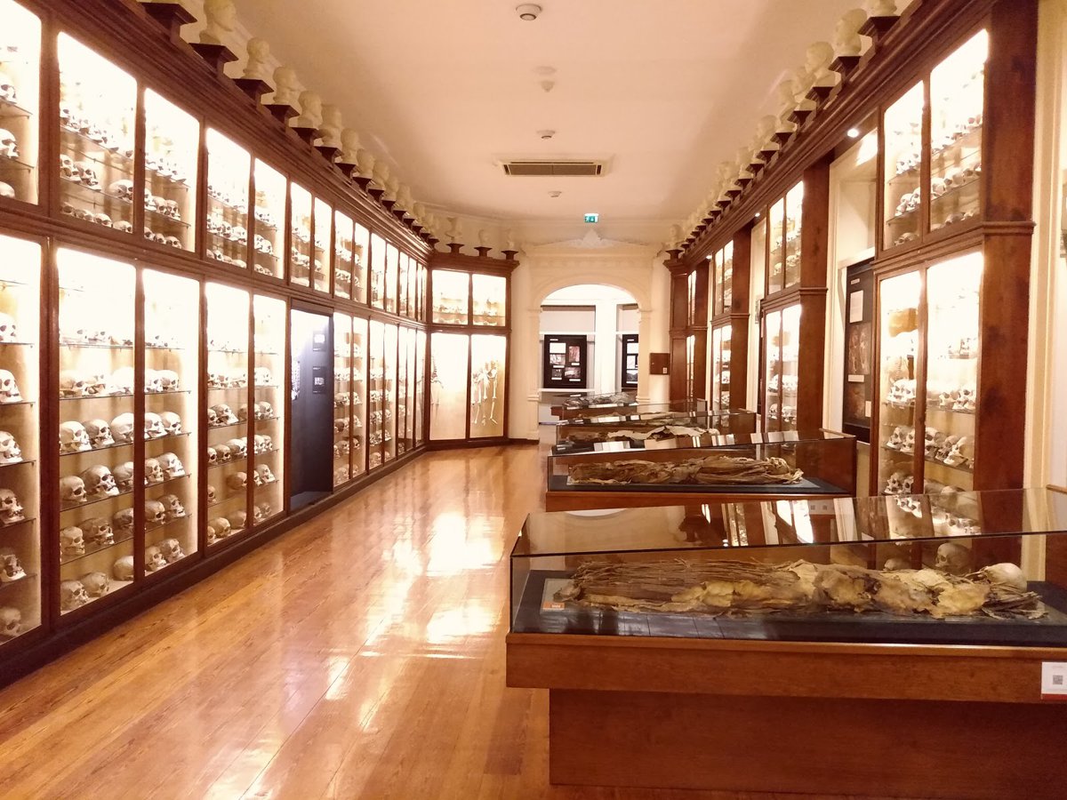 متحف كناريو