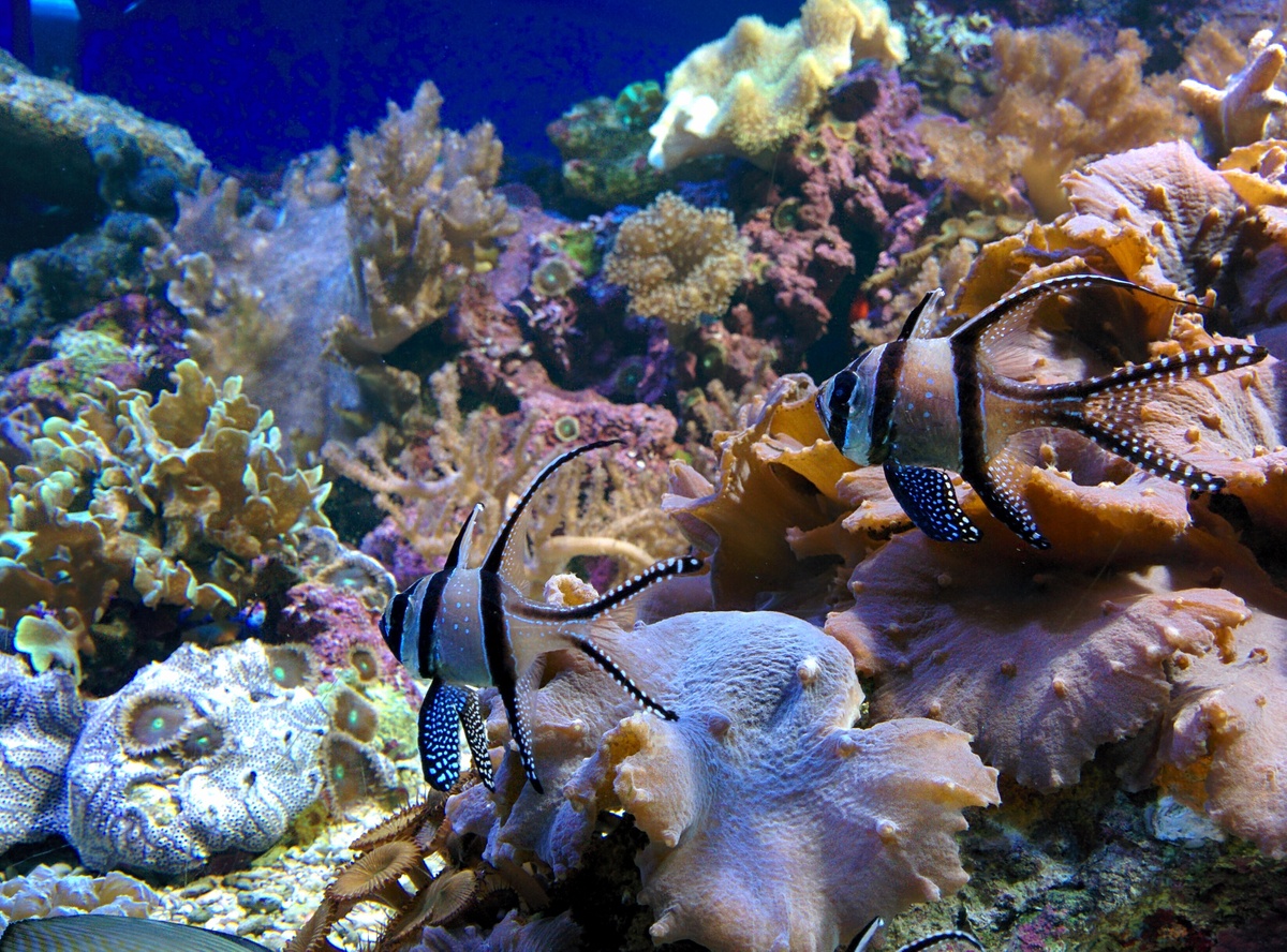 A picture of Aquaria Water Museum