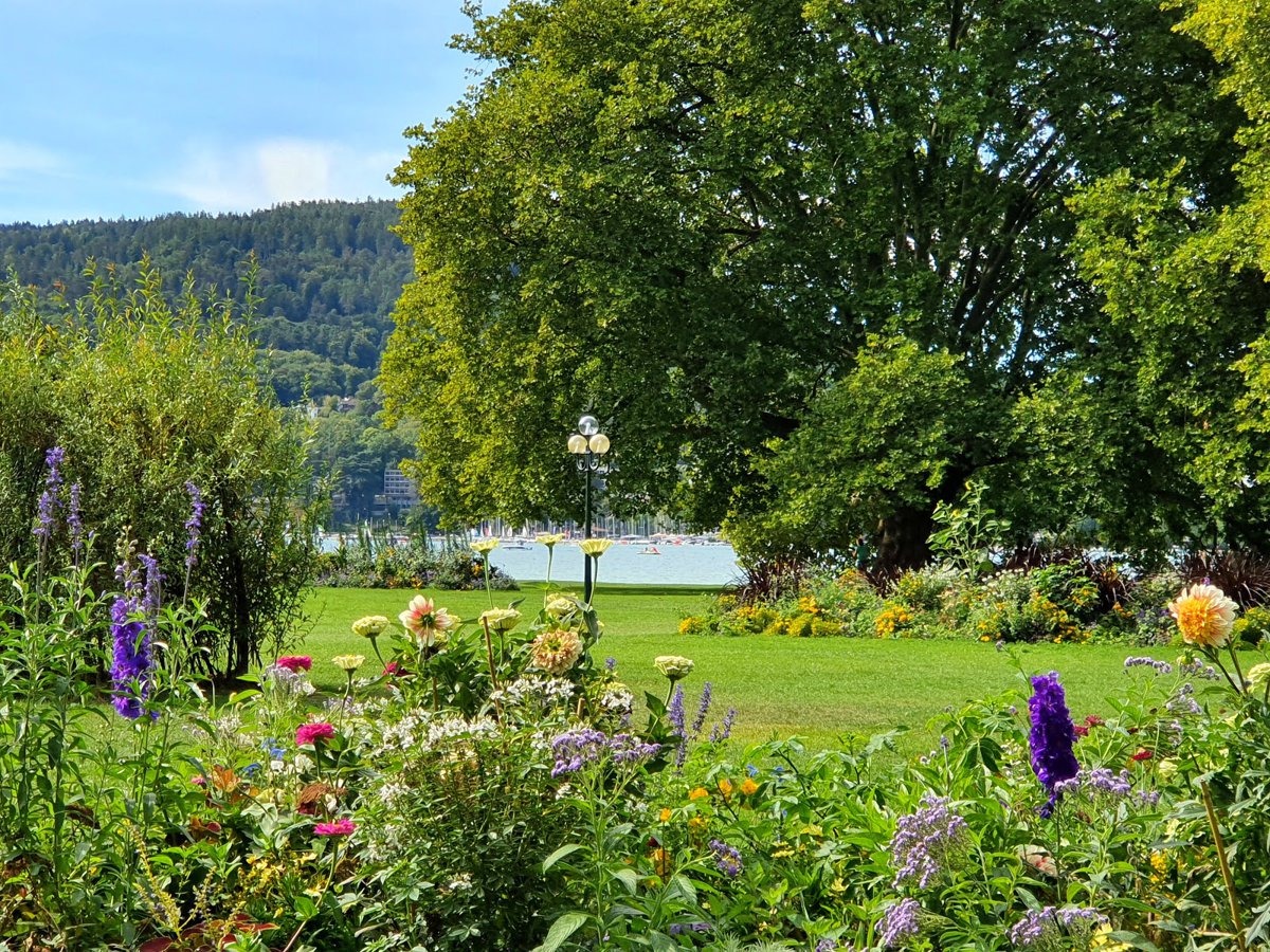 حديقة تشارلز بوسون