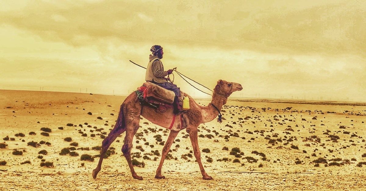 بحيرة الأصفر