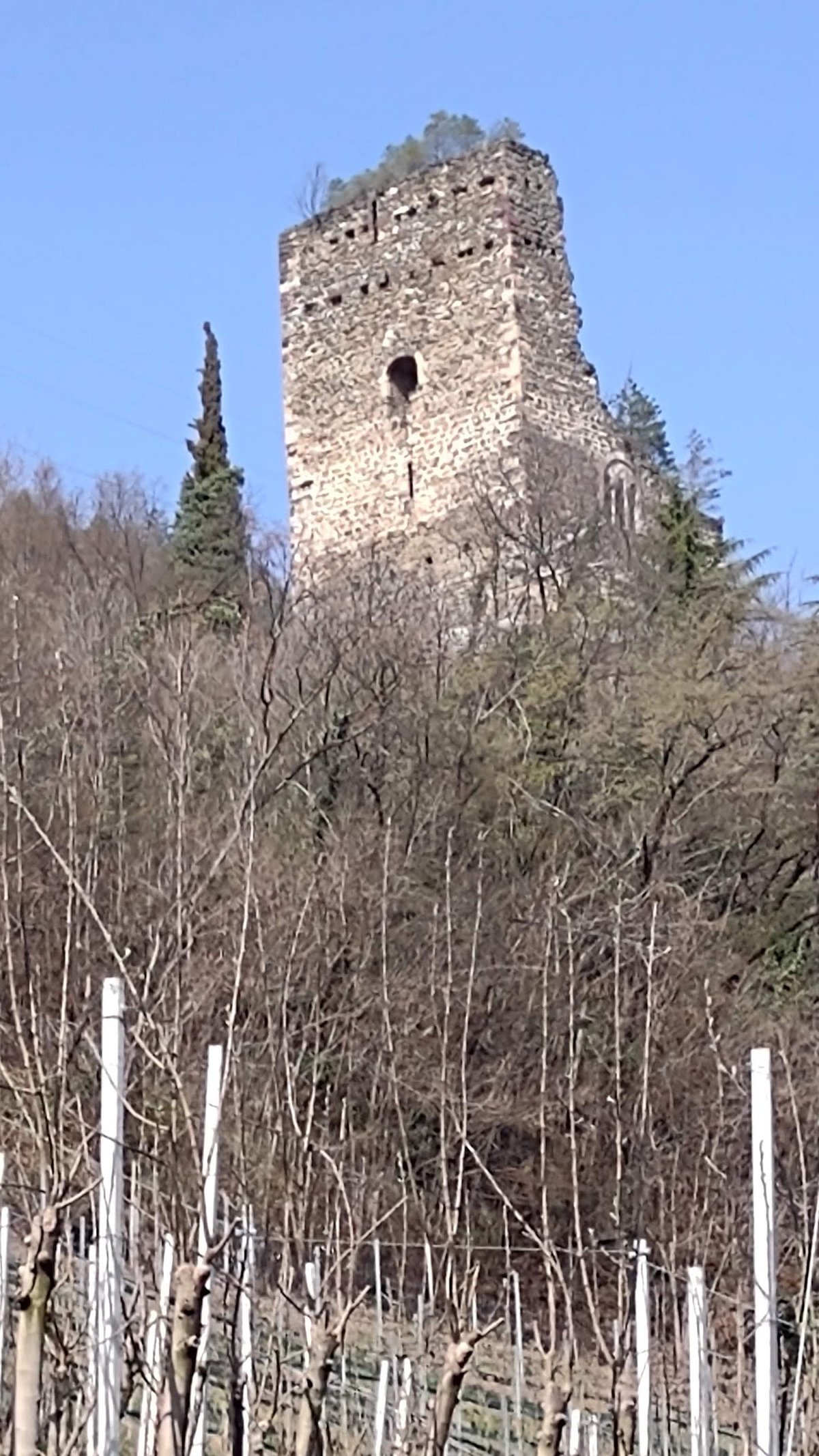 قلعة برانديز