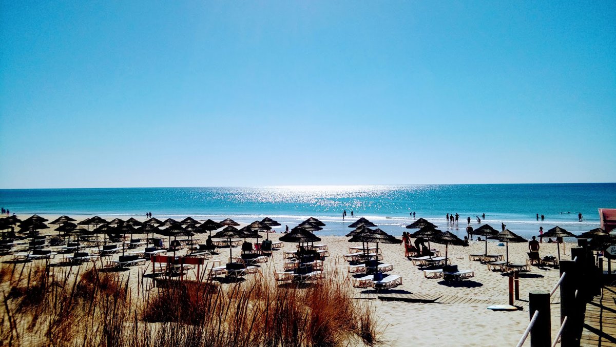 جزيرة تافيرا