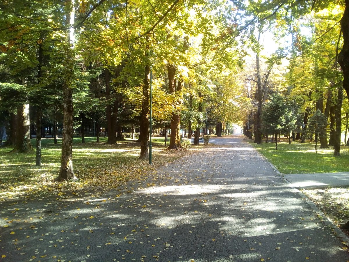Njegosev park A picture of Njegosev park