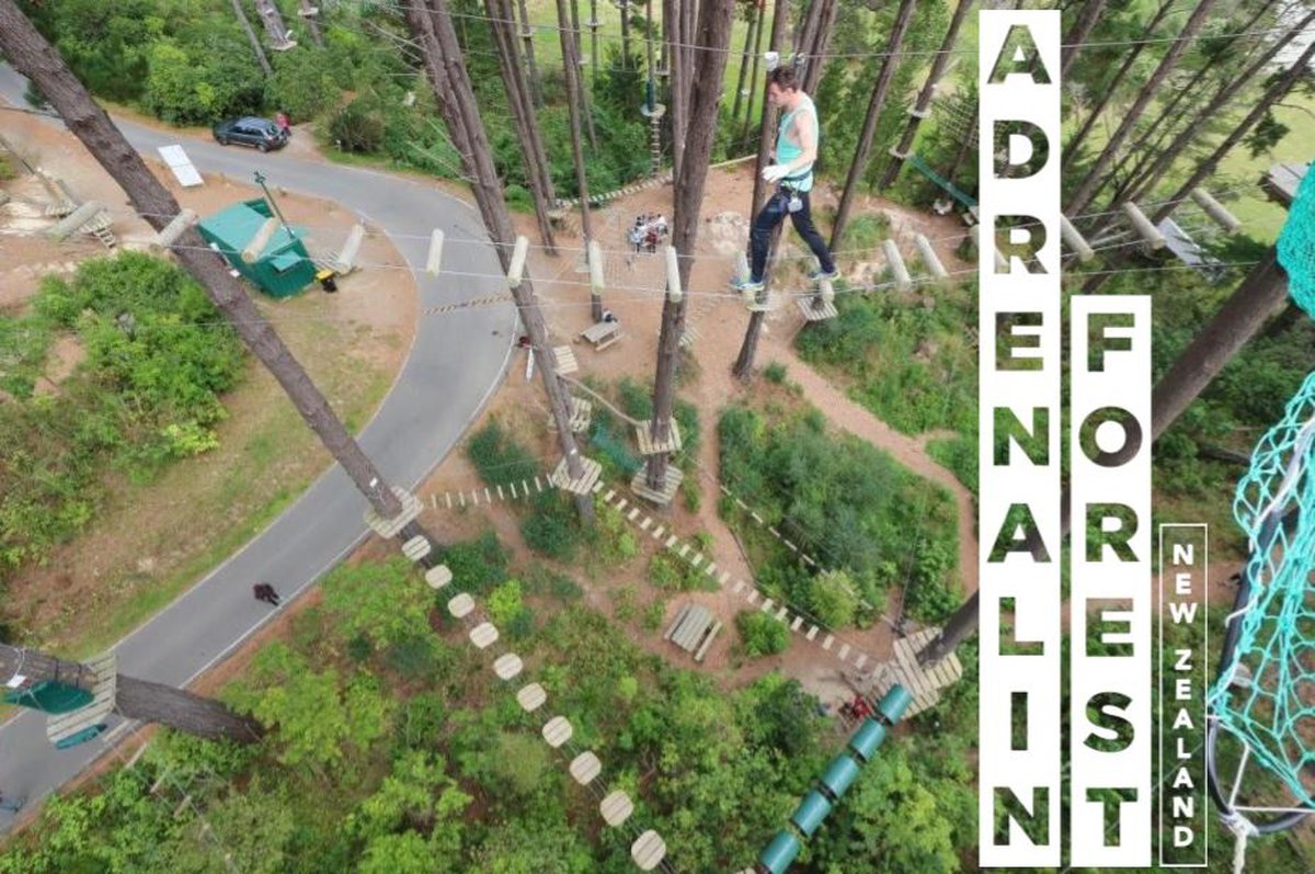 A picture of Adrenalin Forest Christchurch