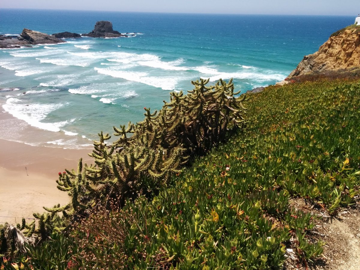 حديقة جنوب غرب ألينتيخو وكوستا فيسينتينا الطبيعية