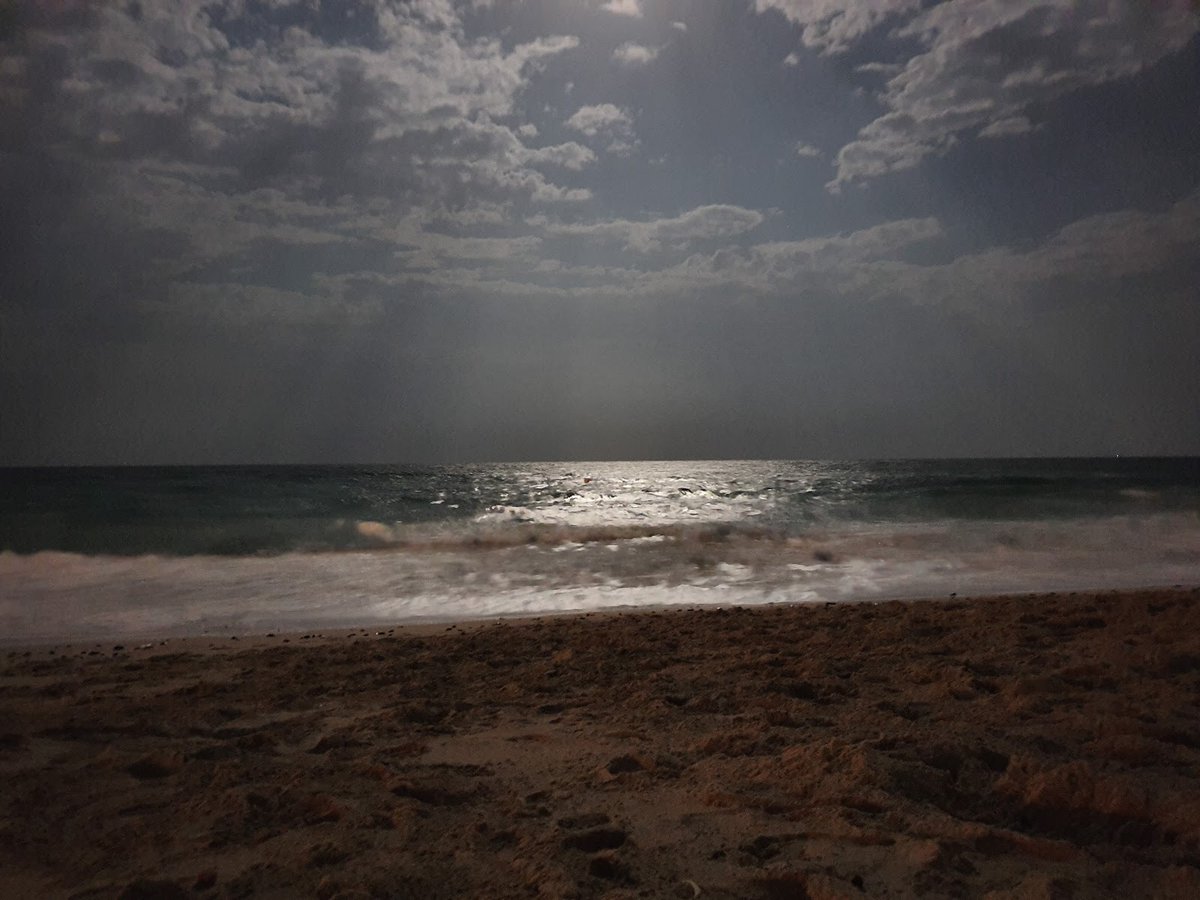 A picture of Al Bustan Beach
