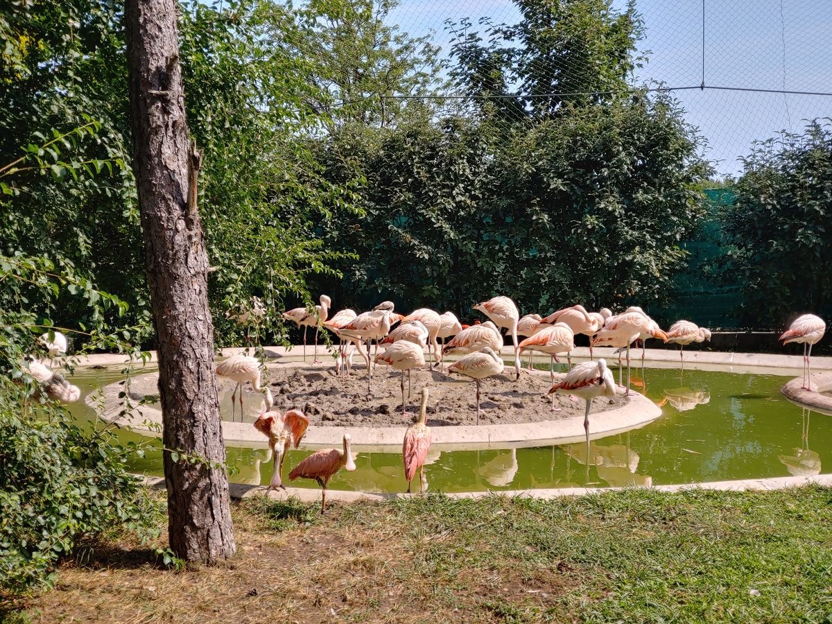 A picture of Veszprem Zoo